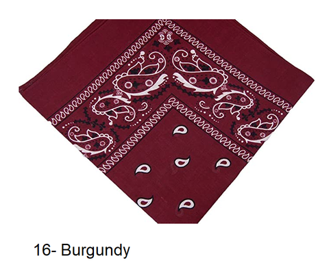 Image of * 100% High Quality Cotton Paisley & Plain Bandanas Assorted Colors (12 Piece Set)