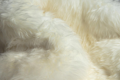 Image of 2 x 3 Natural New Zealand Sheepskin Wool Area Rug in White