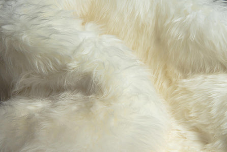 2 x 3 Natural New Zealand Sheepskin Wool Area Rug in White