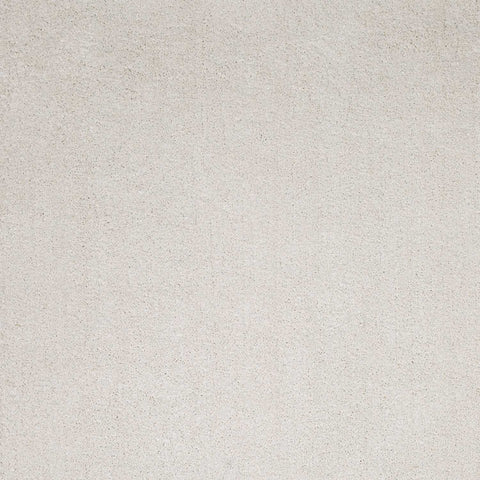 Image of 5 x 7 Polyester Ivory Area Rug