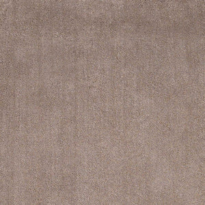 27" X 45" Polyester Beige Area Rug