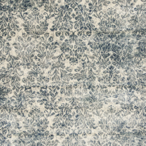 Image of 5 x 7 Viscose Ivory or Blue Area Rug