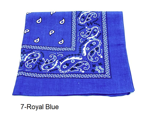 Image of * 100% High Quality Cotton Paisley & Plain Bandanas in 42 COLORS