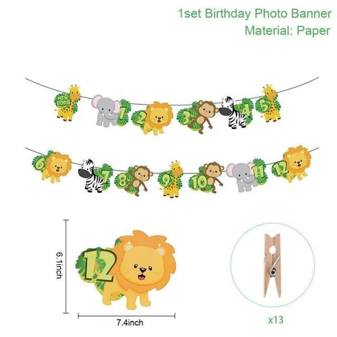 Image of * Baby Milestone -1st Birthday Banner Flag and Monthly Photo Holder