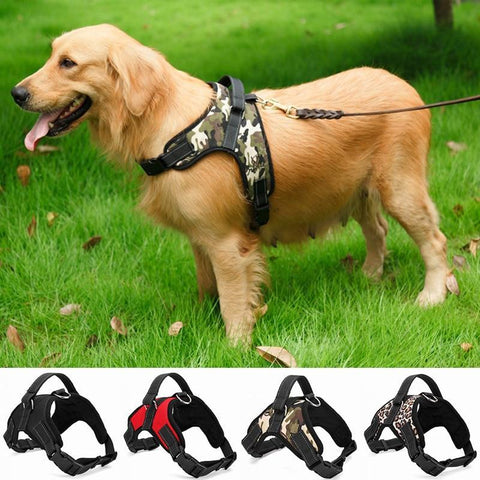 Image of * Nylon Heavy Duty Dog Pet Harness Collar Padded and Adjustable