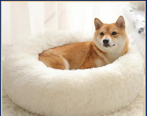 Image of * PET LOVER'S Plush Rounded Cushion Dog and Cat Bed Lounger Sofa (7 Sizes)